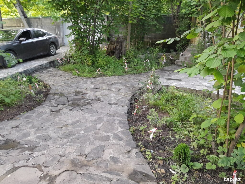 4-комн. дача посуточно, Qax