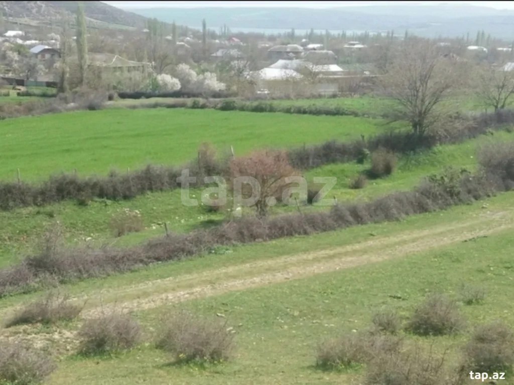 Torpaq satılır, İsmayıllı, İsmayıllı
