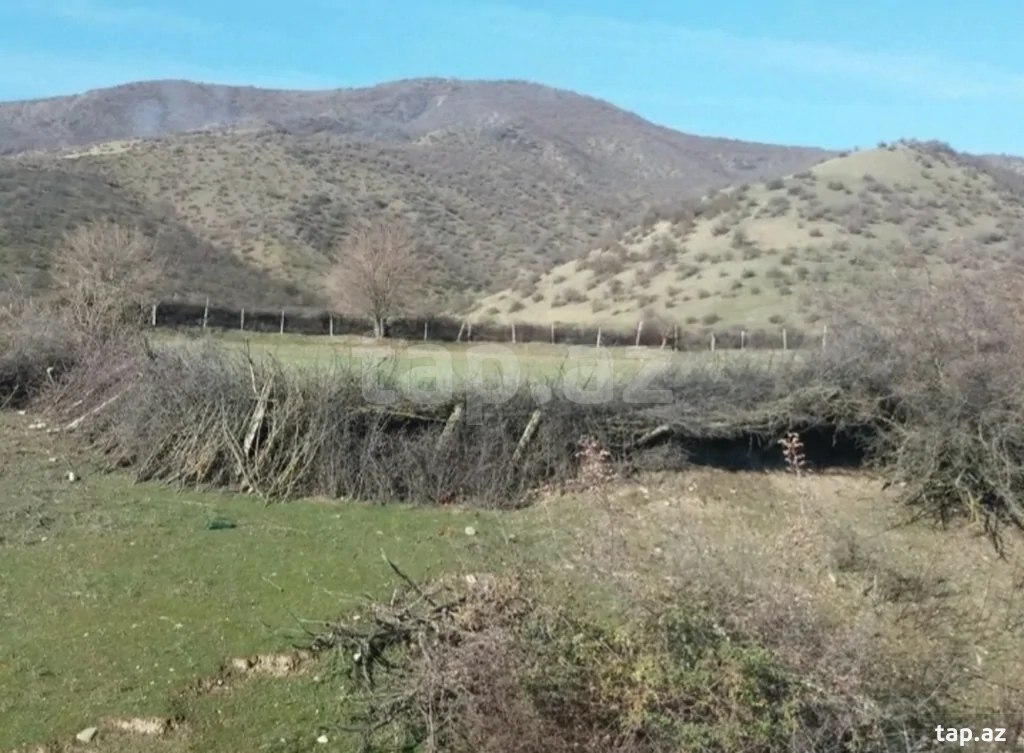 Torpaq satılır, İsmayıllı, İsmayıllı