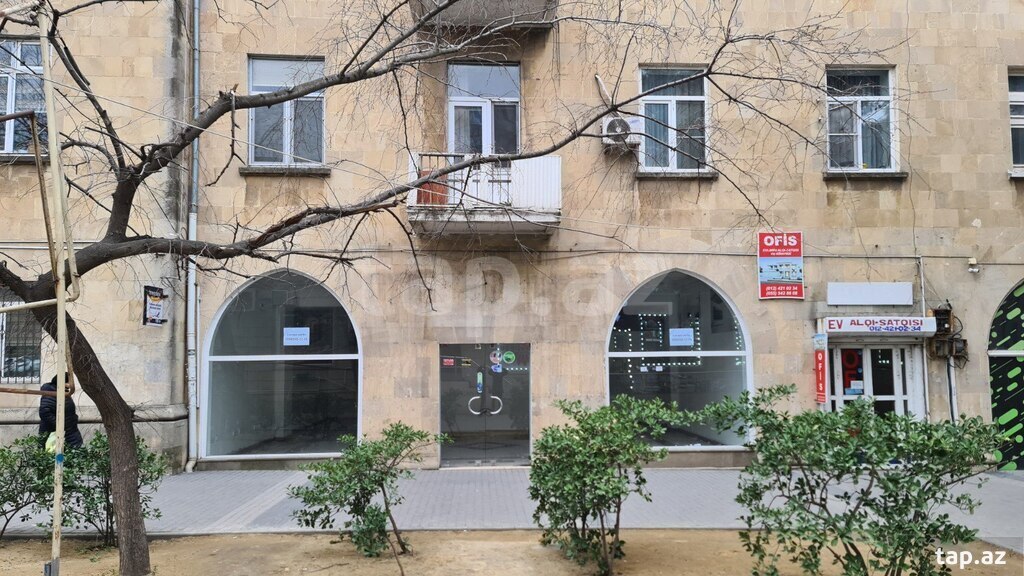 Сдается объект, ул. Низами (2)