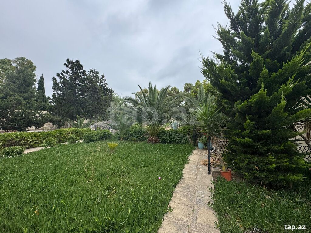 24 sot torpaq sahəsi, Mərdəkan qəs. (8)