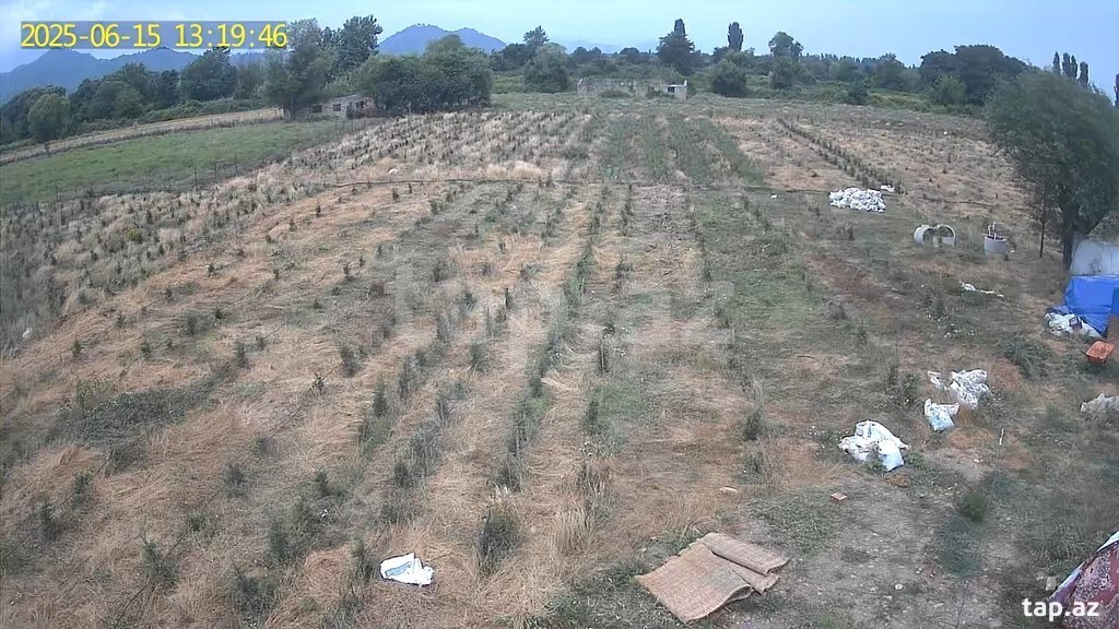 100 sot torpaq sahəsi, Lənkəran ş. (9)