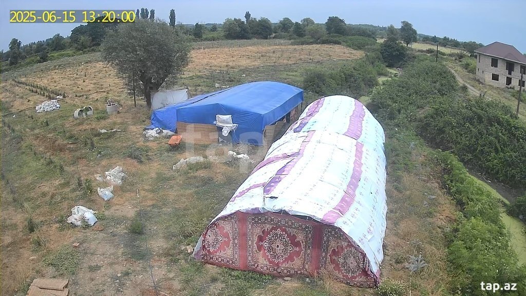 100 sot torpaq sahəsi, Lənkəran ş.