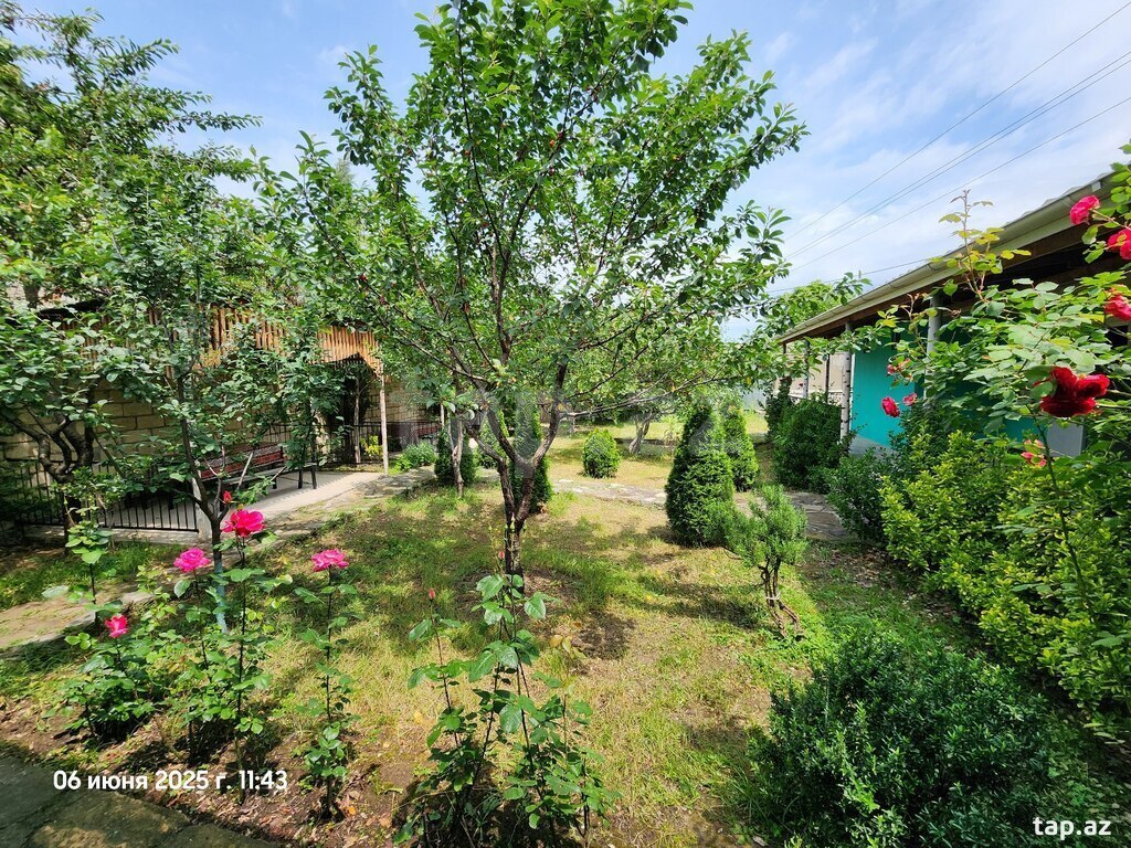 Bağ evi kirayə verilir, Quba r.