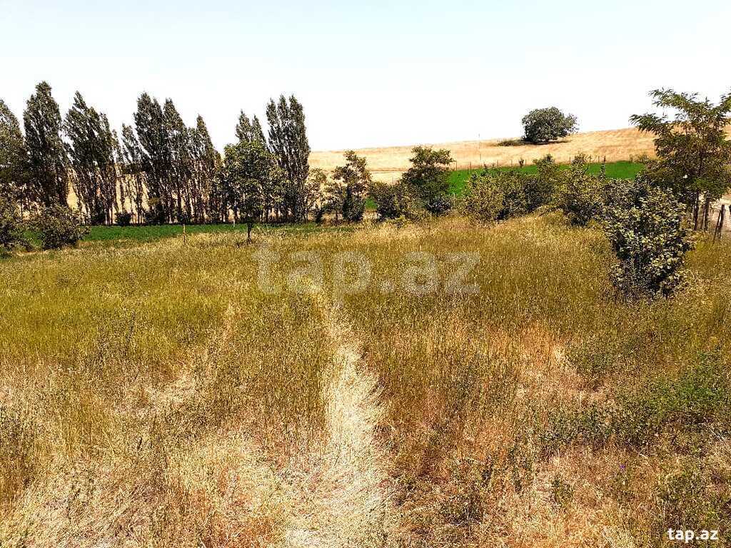 24 sot torpaq sahəsi, Qusar r. (3)