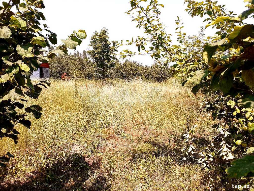 24 sot torpaq sahəsi, Qusar r. (4)