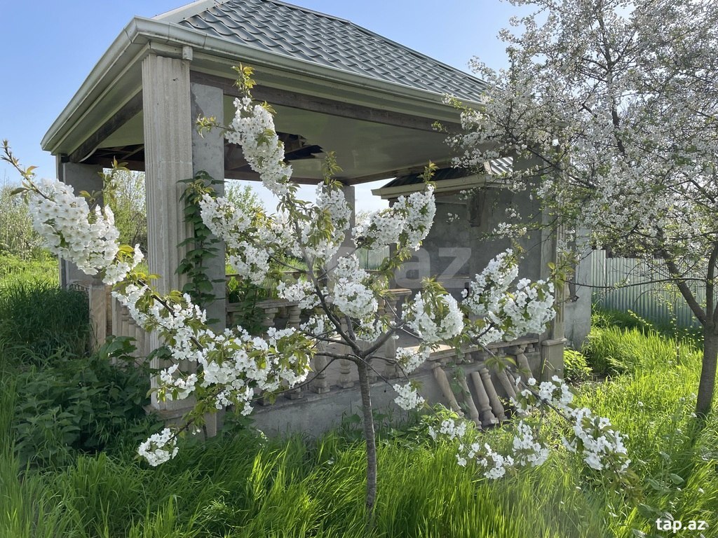 Bağ evi kirayə verilir, İsmayıllı r. (12)