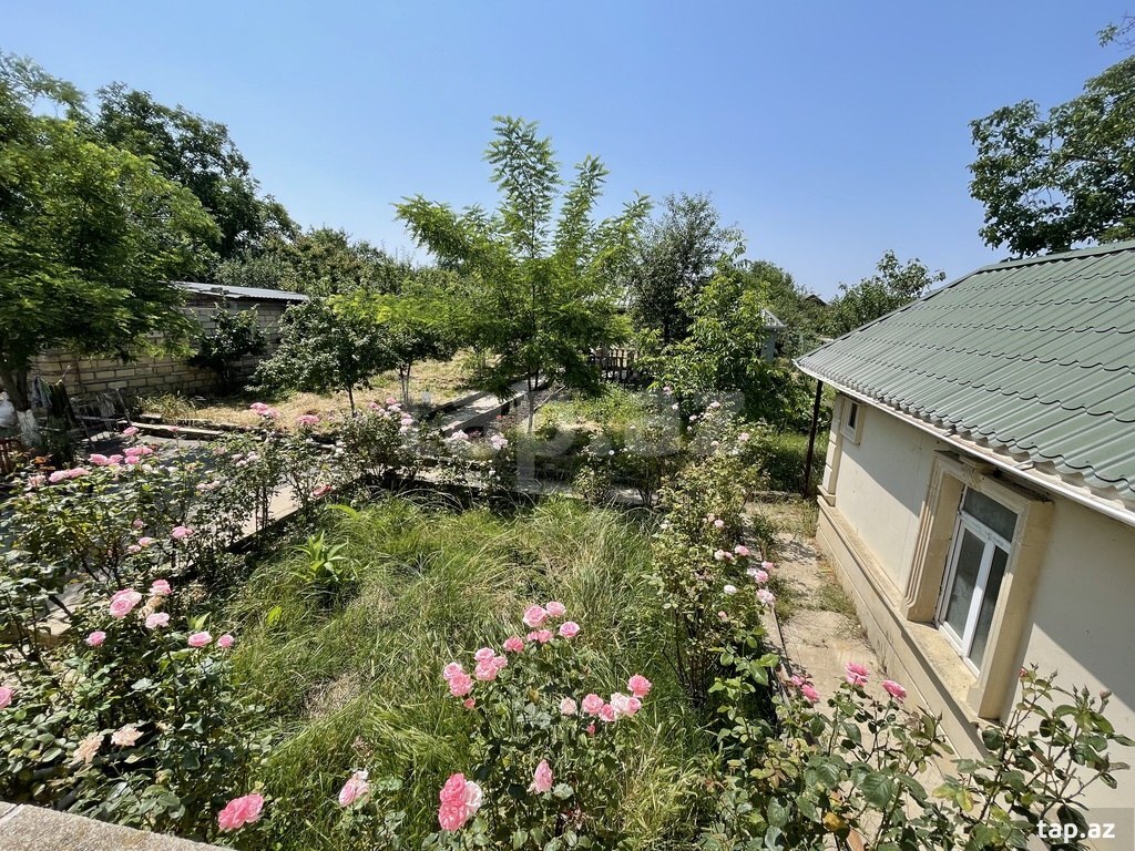 Bağ evi kirayə verilir, İsmayıllı r. (19)