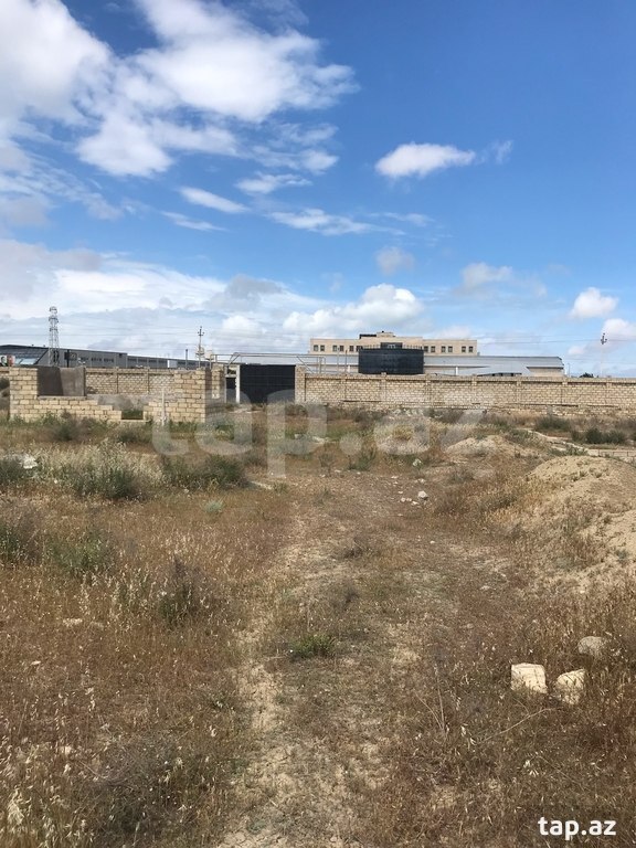 255 sot torpaq sahəsi, Abşeron r. (5)
