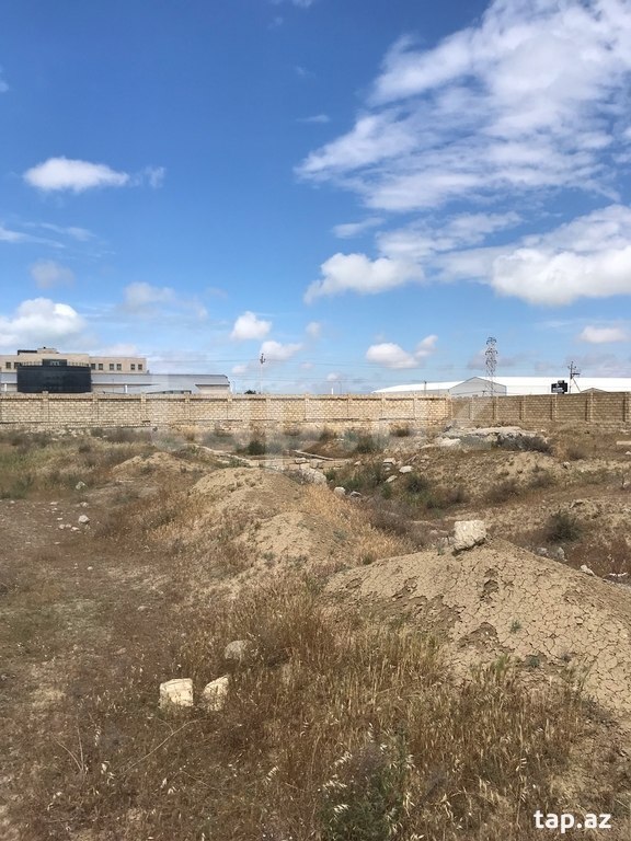 255 sot torpaq sahəsi, Abşeron r. (4)