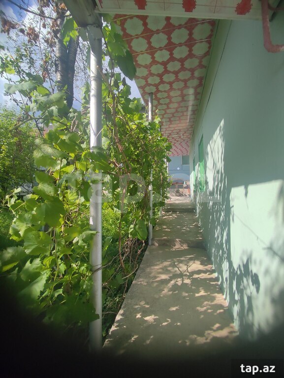 Həyət evi, Şəki r.