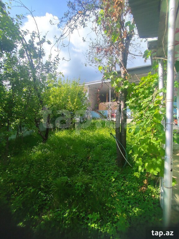 Həyət evi, Şəki r.