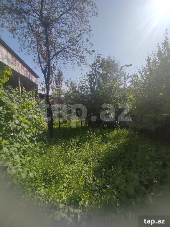 Həyət evi, Şəki r.
