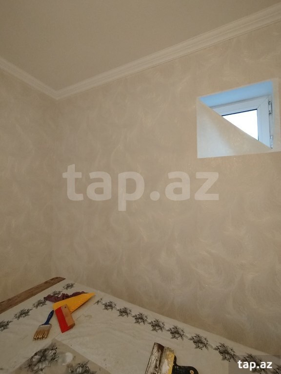 Rəngsaz işləri (11)