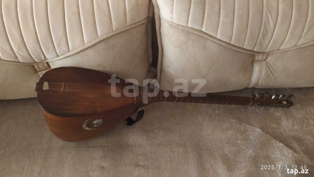 Saz  (6)
