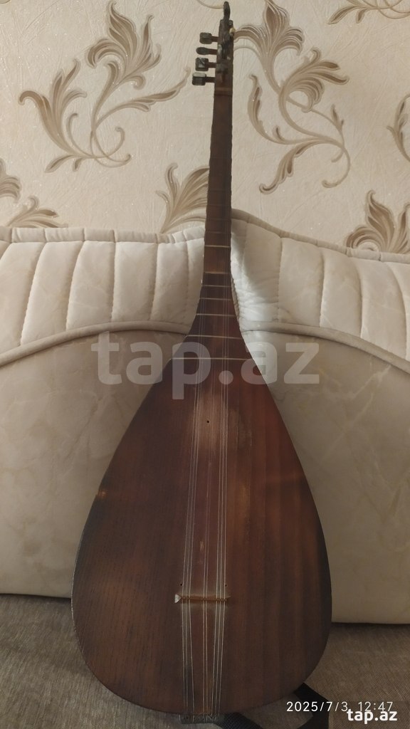 Saz  (3)
