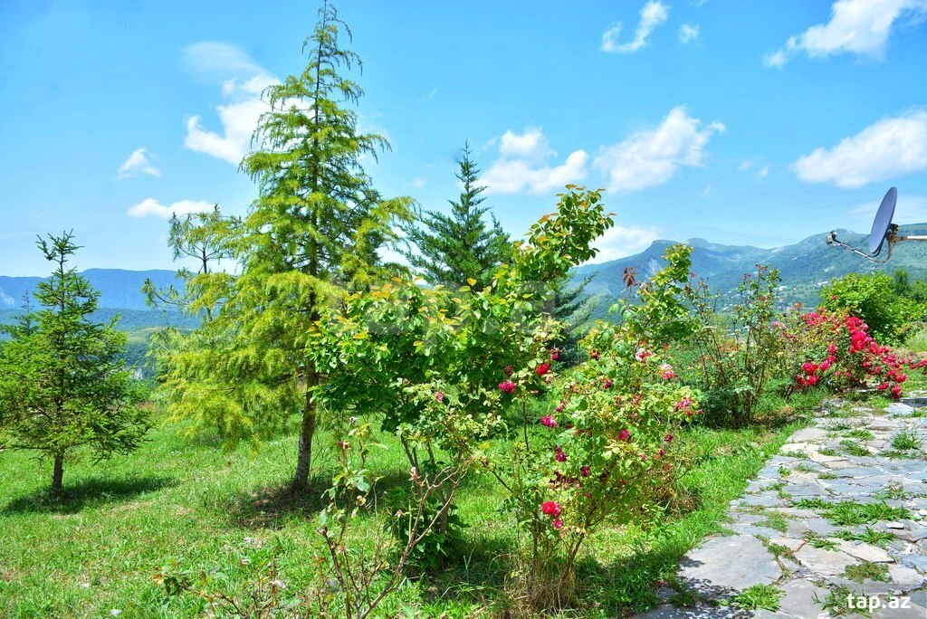 Bağ evi kirayə verilir, Şamaxı r. (10)
