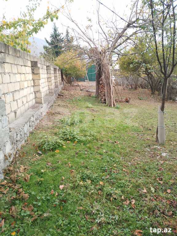 14.5 sot torpaq sahəsi, Şəki ş. (10)