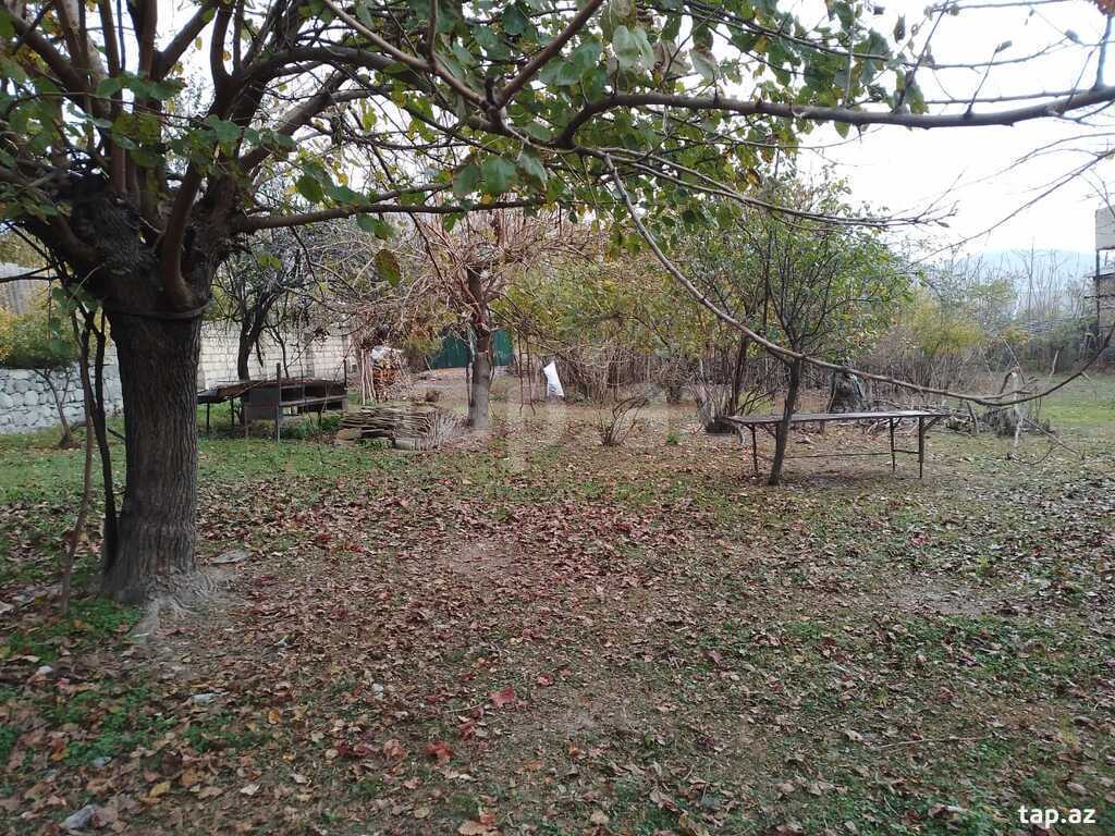 14.5 sot torpaq sahəsi, Şəki ş. (8)