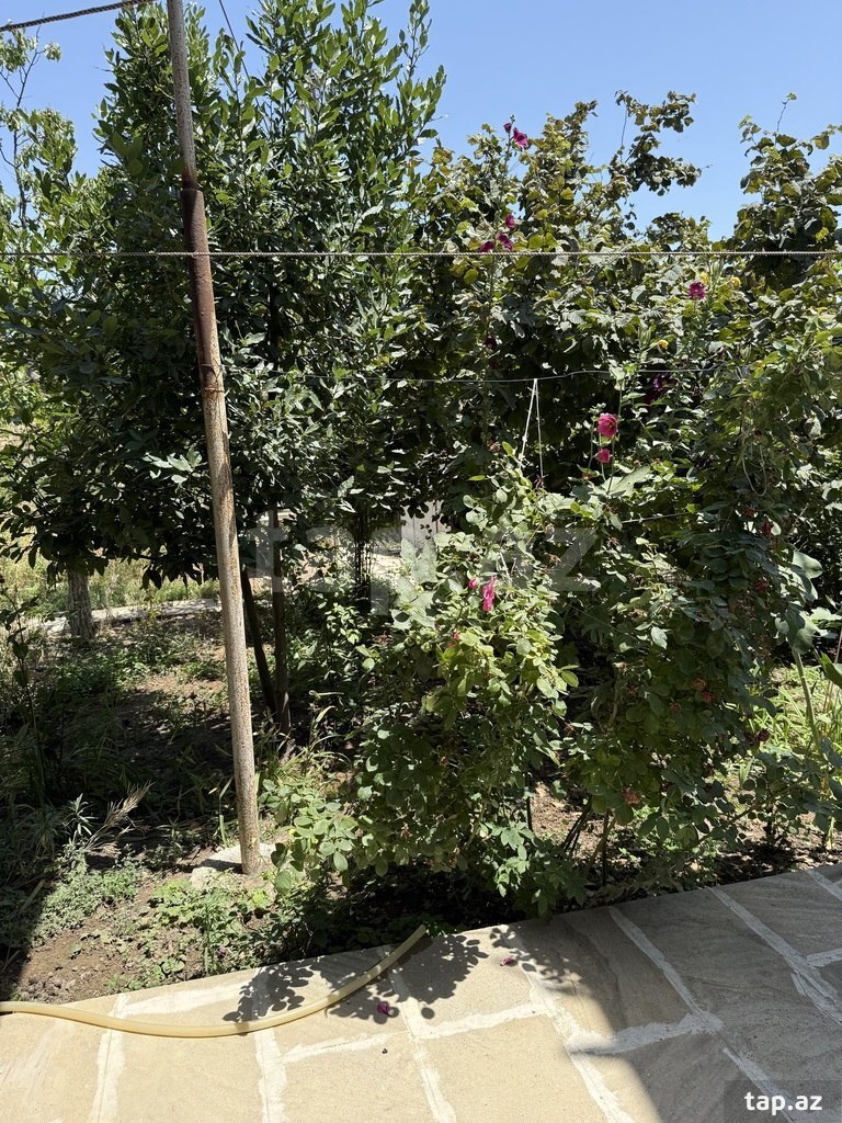 Həyət evi, Binəqədi qəs. (14)