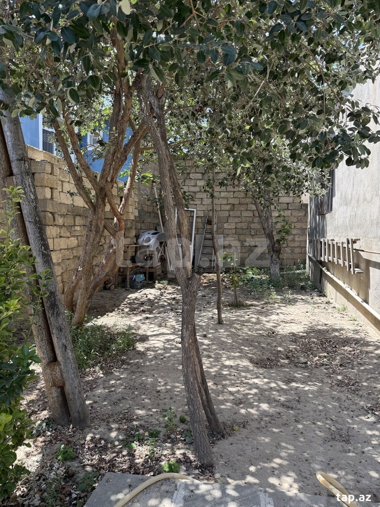 Həyət evi, Binəqədi qəs. (16)