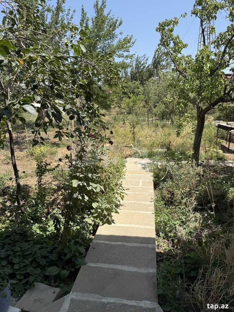 Həyət evi, Binəqədi qəs. (13)
