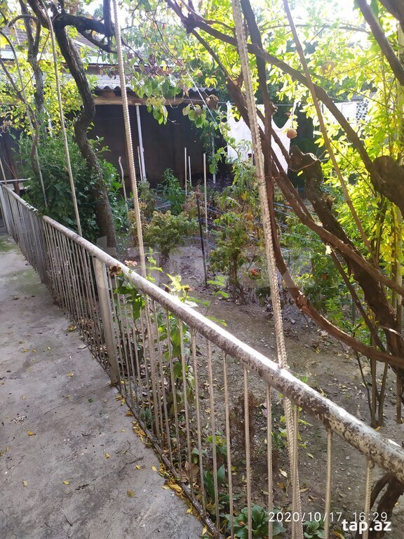 Həyət evi, Şəki ş.
