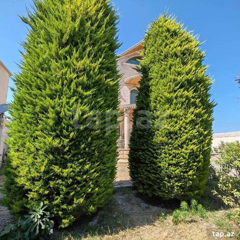 Villa, Buzovna qəs.