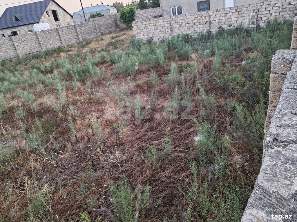 Torpaq satılır, Qala, Bakı