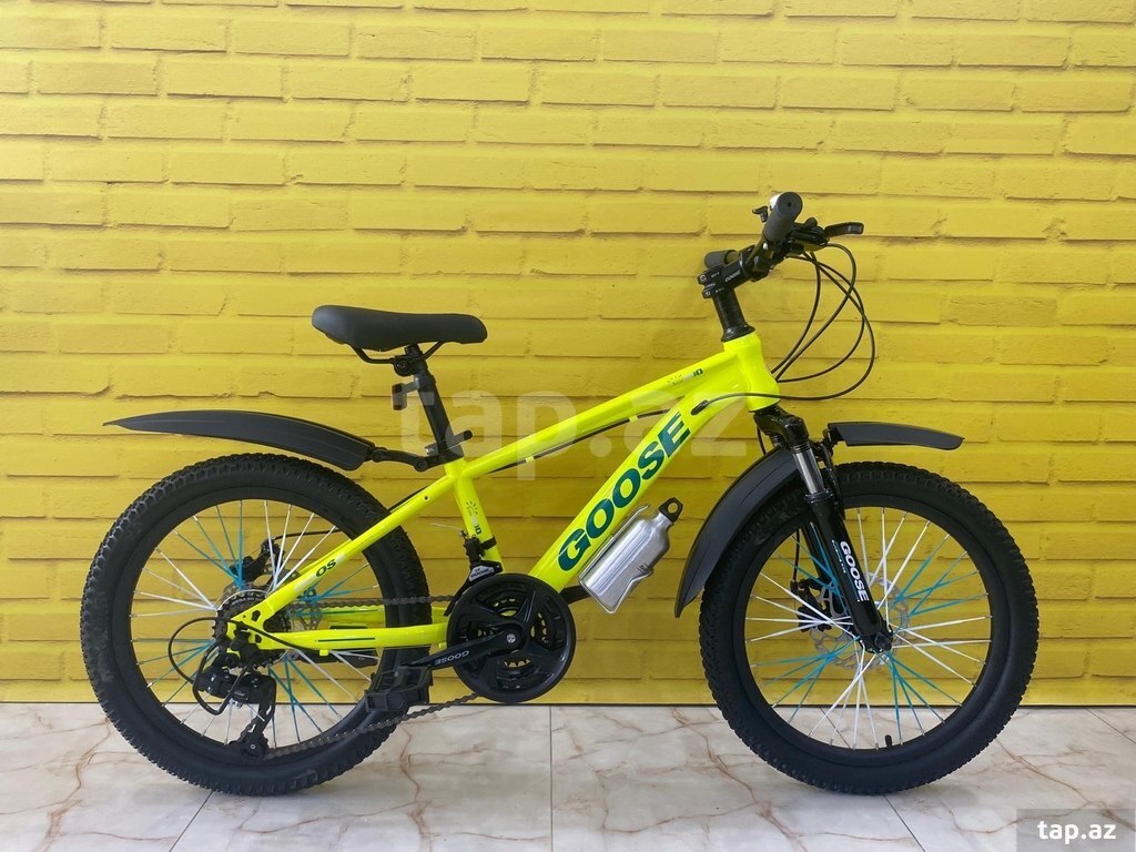 Velosiped "GOOSE 20" (2)