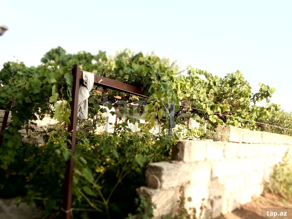 Həyət evi, Nardaran qəs. (19)