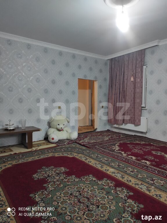 Həyət evi kirayə verilir, Gəncə ş.