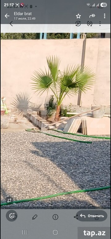 Villa, Albalılıq qəs. (5)