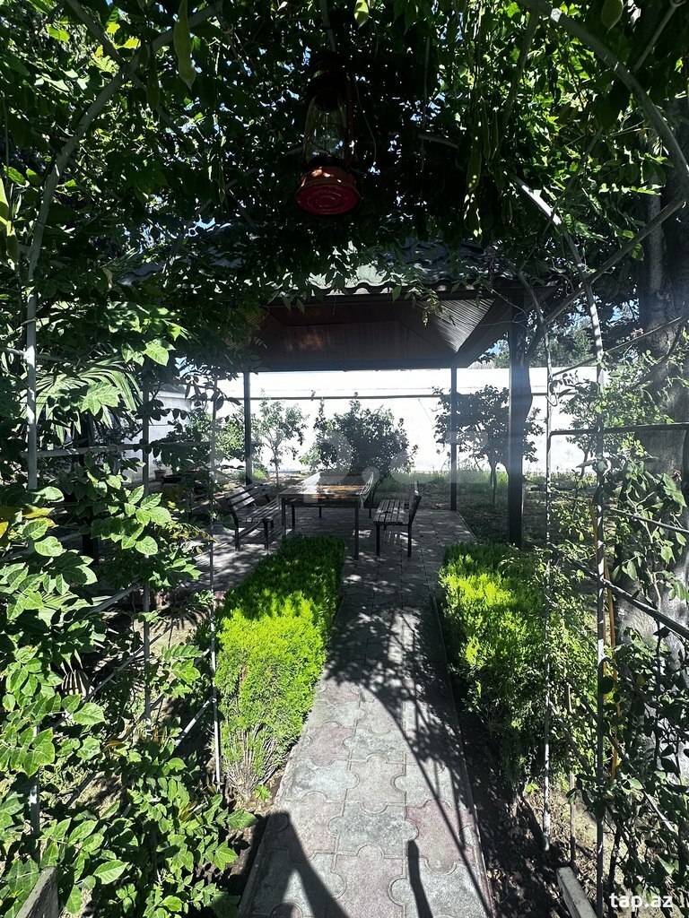 Bağ evi, Novxanı qəs. (2)