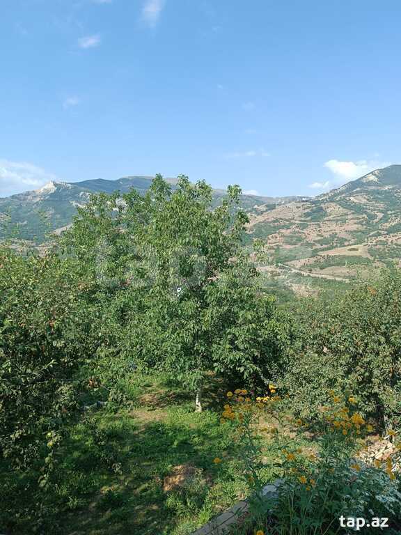 Bağ evi kirayə verilir, Quba r. (15)