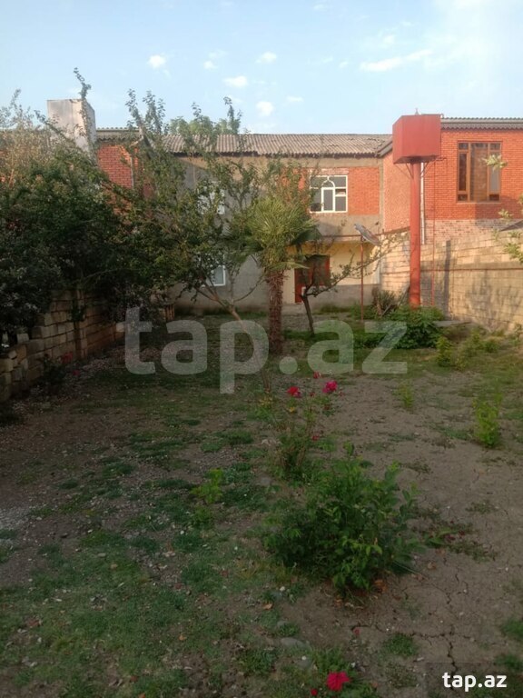 Həyət evi, Lənkəran ş. (20)