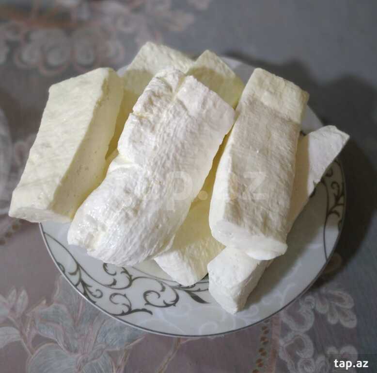 İnək pendiri (3)