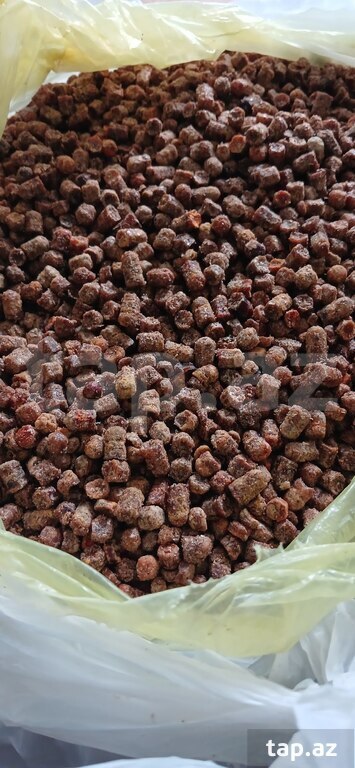 Arı çörəyi (Güləm)
