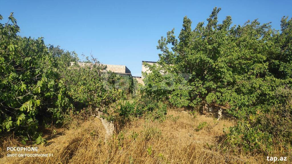 Həyət evi, Maştağa qəs.