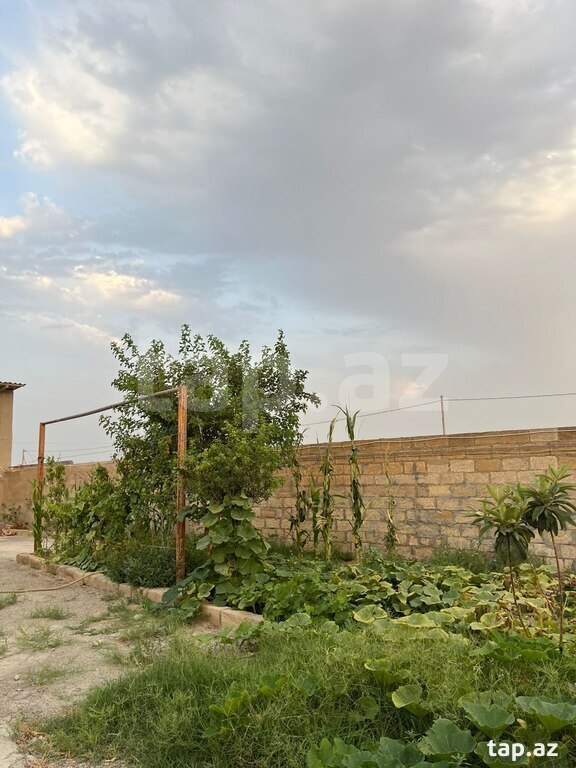 Bağ evi, Yaşma bağları (5)