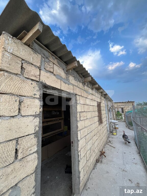 Bağ evi, Yaşma bağları (21)
