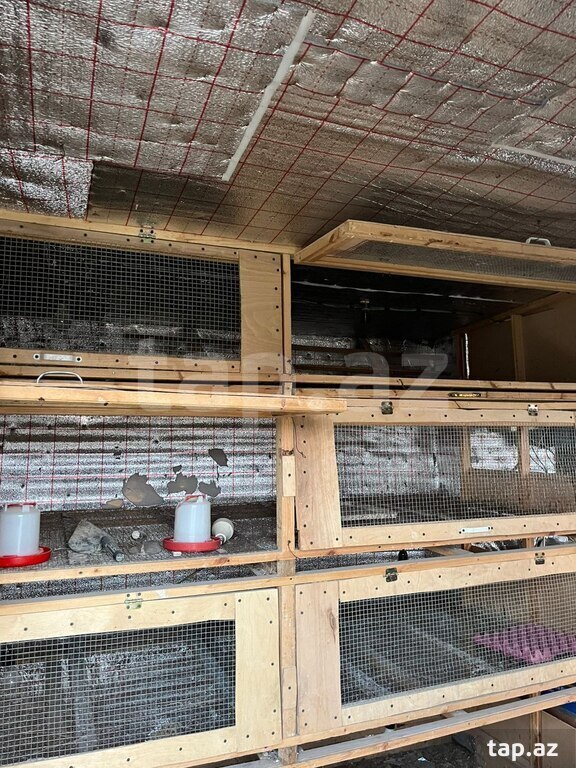 Bağ evi, Yaşma bağları (22)