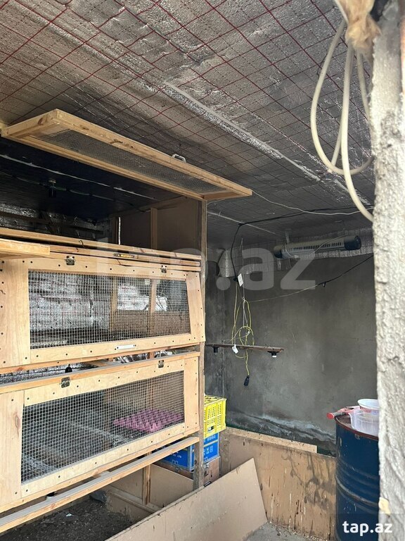 Bağ evi, Yaşma bağları (23)