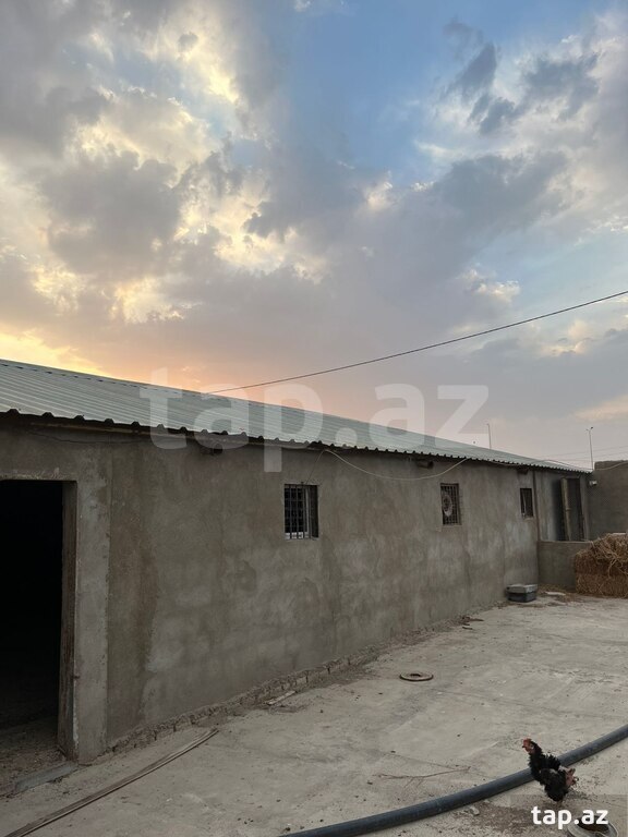 Bağ evi, Yaşma bağları (29)