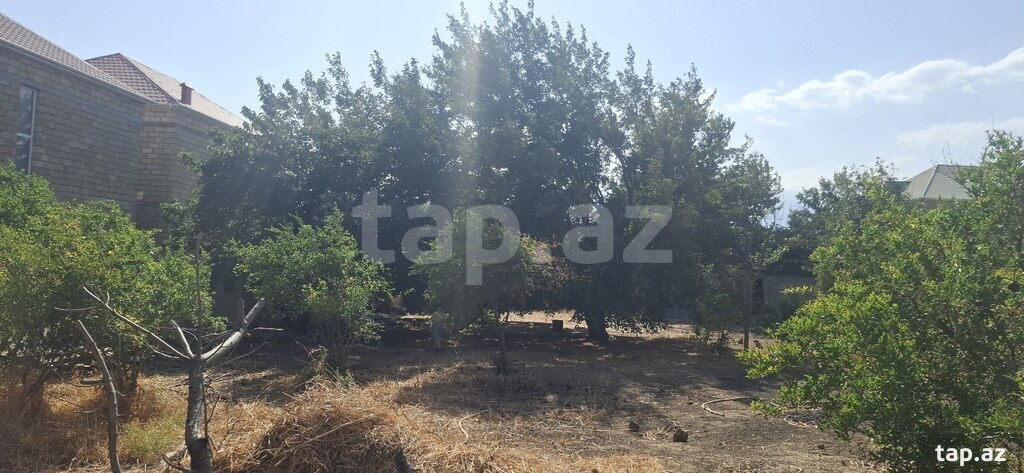10 sot torpaq sahəsi, Mehdiabad qəs. (2)