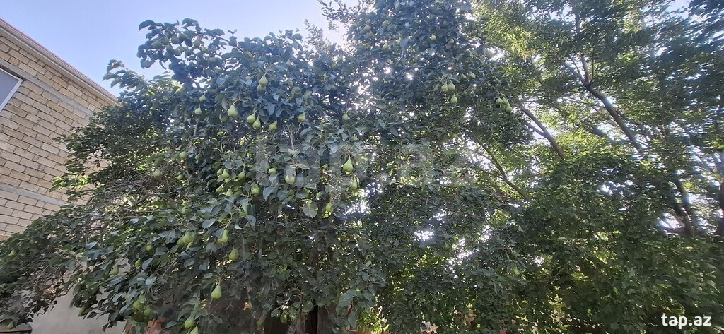10 sot torpaq sahəsi, Mehdiabad qəs. (3)