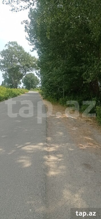 550 sot torpaq sahəsi, Xaçmaz r.