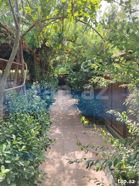 Bağ evi kirayə verilir, Nardaran qəs. (4)