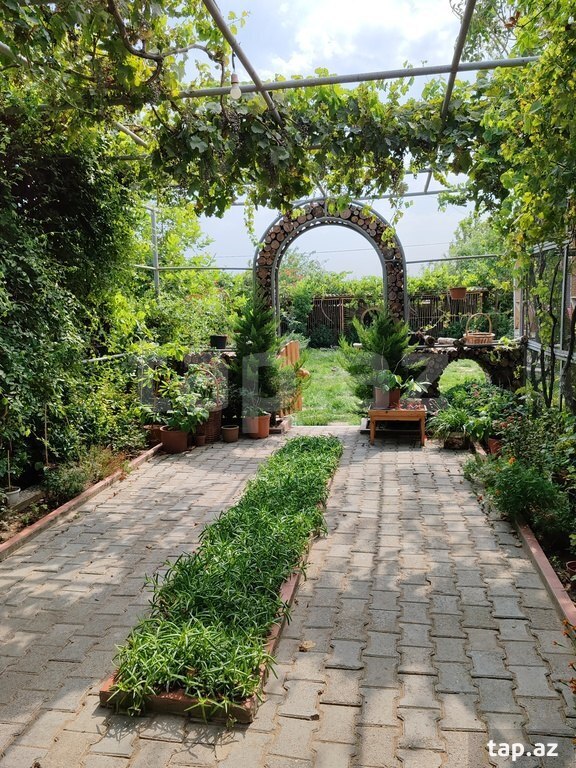 Bağ evi kirayə verilir, Nardaran qəs. (14)