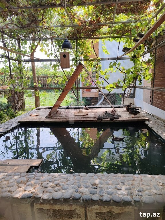 Bağ evi kirayə verilir, Nardaran qəs. (13)
